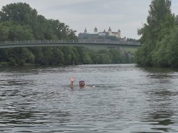 Mainschwimmen Juni 2026